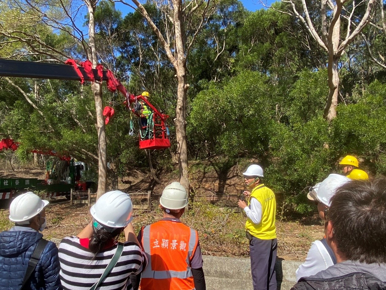韌性城市從「樹」開始！　中市建設局培訓百名人員 精進行道樹高空修剪專業職能