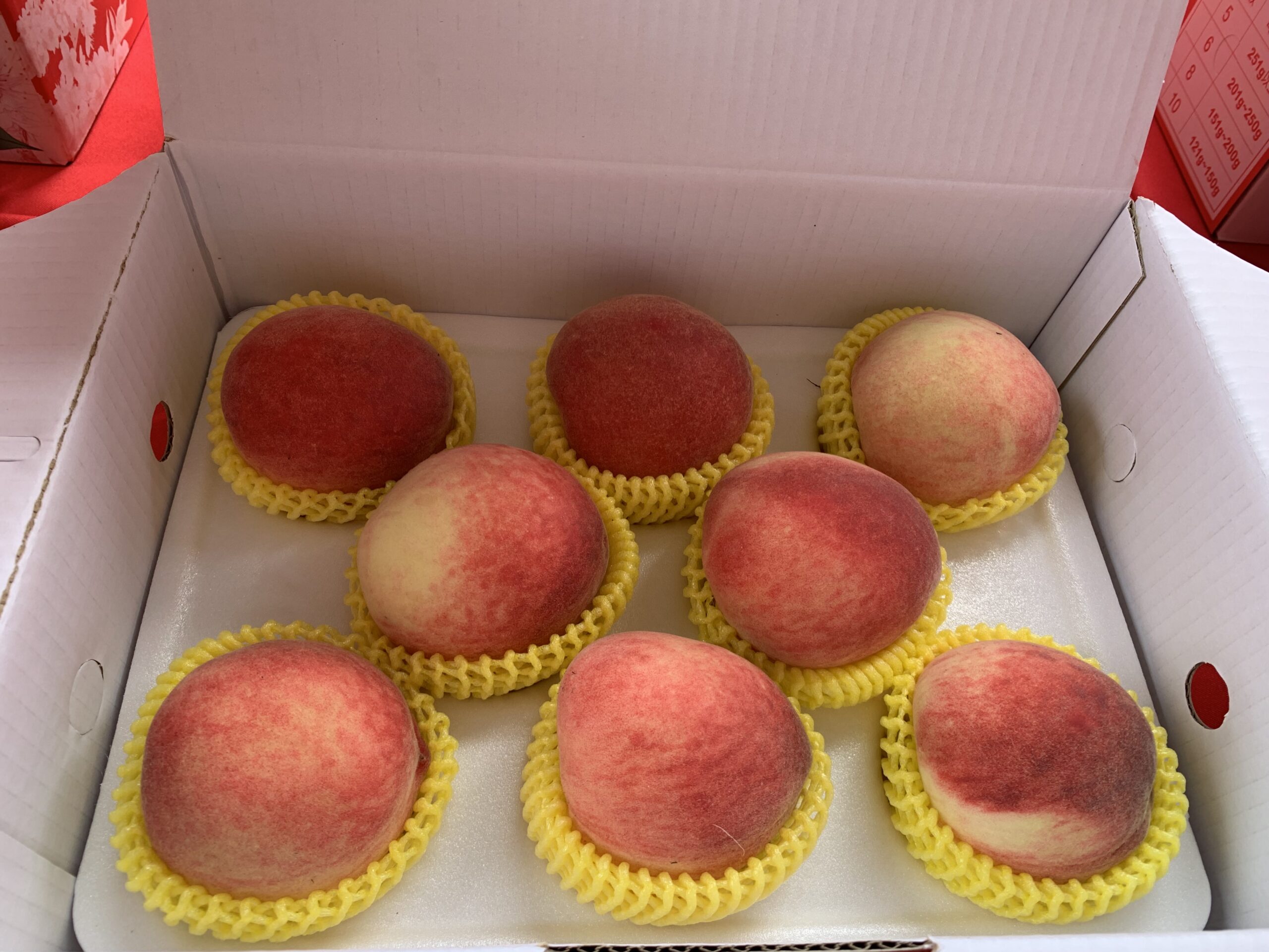 太平區優質水蜜桃果品評鑑競賽　農友柯聰明勇奪冠軍成為平地水蜜桃達人