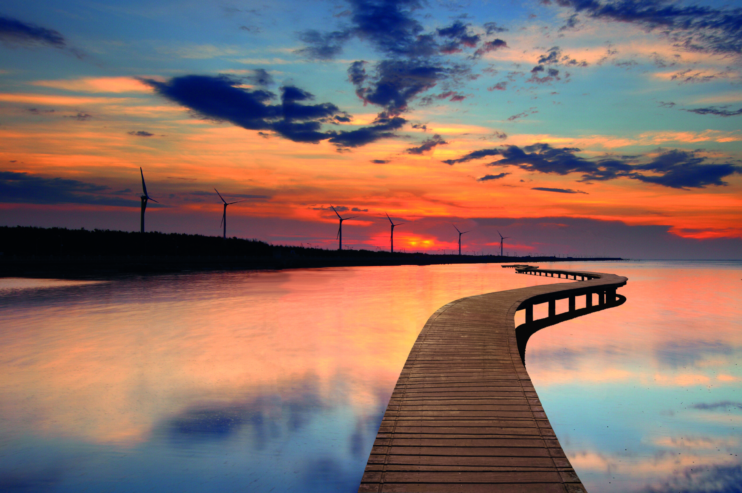 珍愛高美濕地守護生態　中市府澄清未檢出戴奧辛、持續推動海線觀光