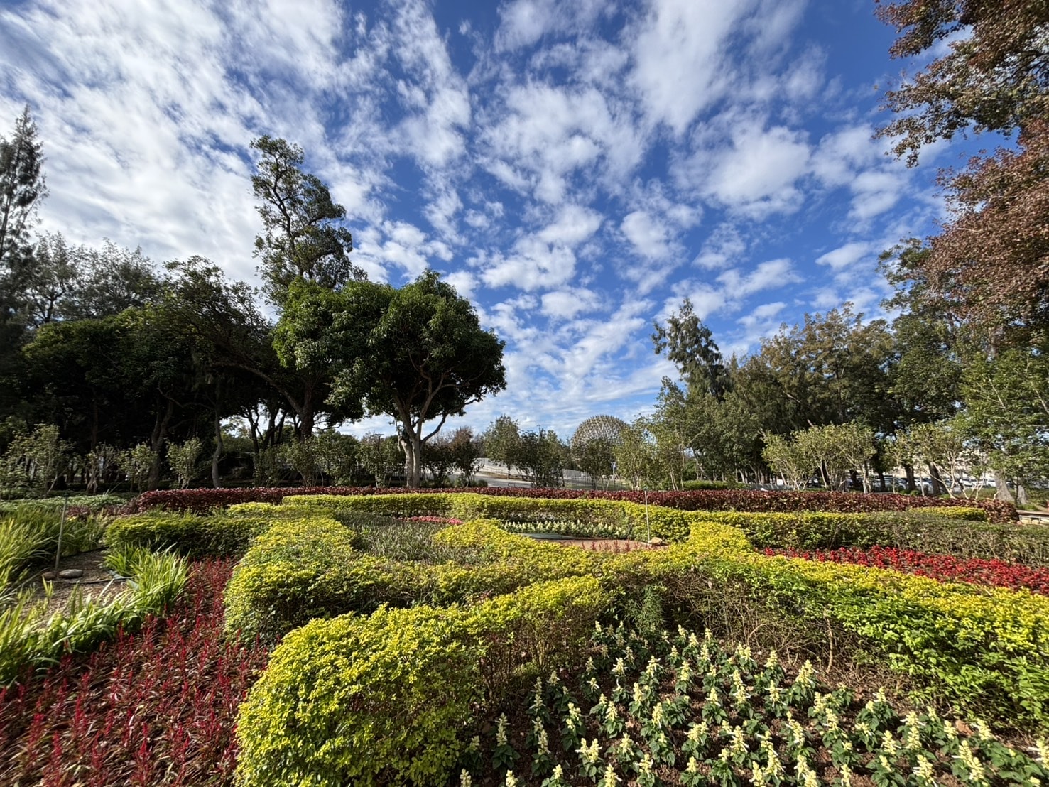 從展示藝術到生活場域　后里森林公園機械花啟動轉型