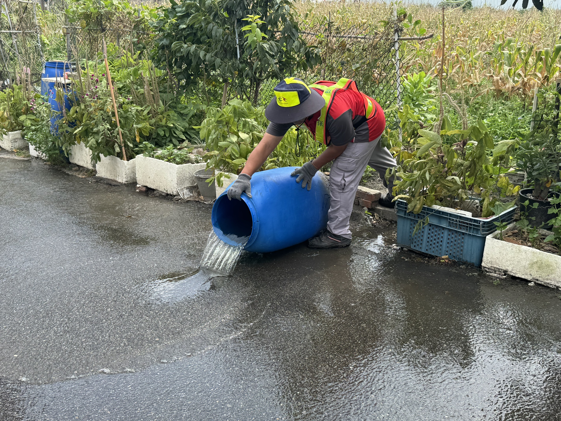 中市推動登革熱孳生源清除評比成效亮眼 動員33萬人次、公私協力守護城市健康