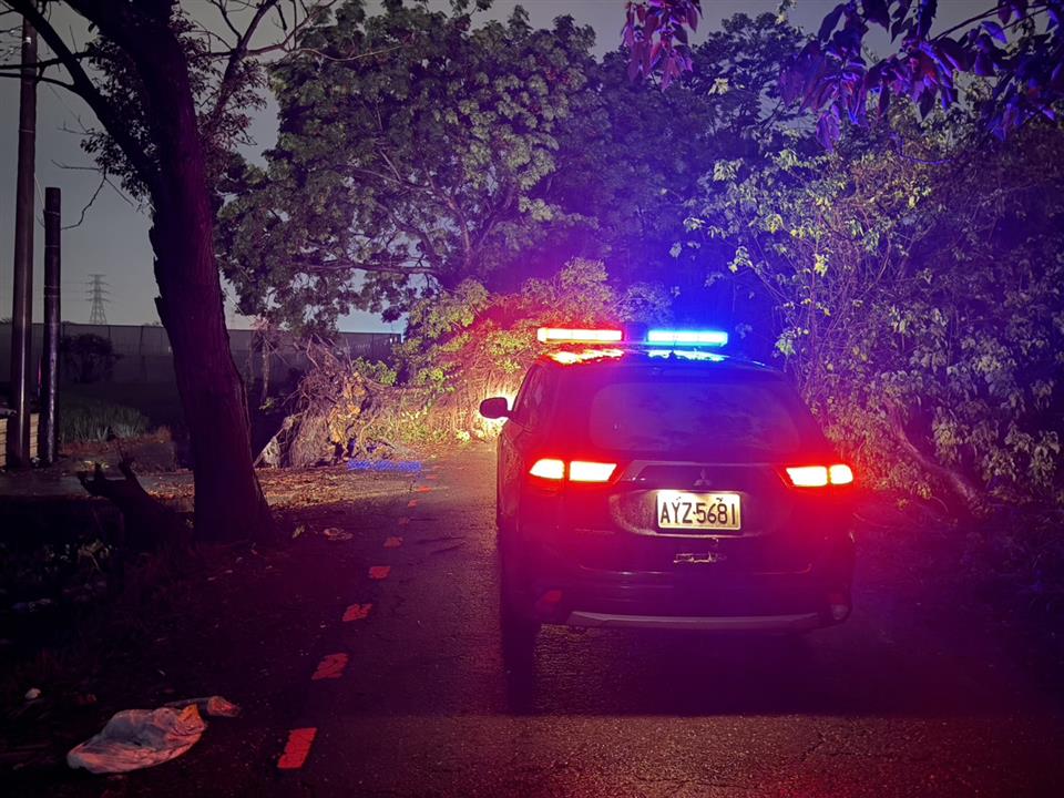 風雨無阻 北斗暖警即時排除路樹倒塌 守護用路人安全 風雨無阻 北斗暖警即時排除路樹倒塌 守護用路人安全