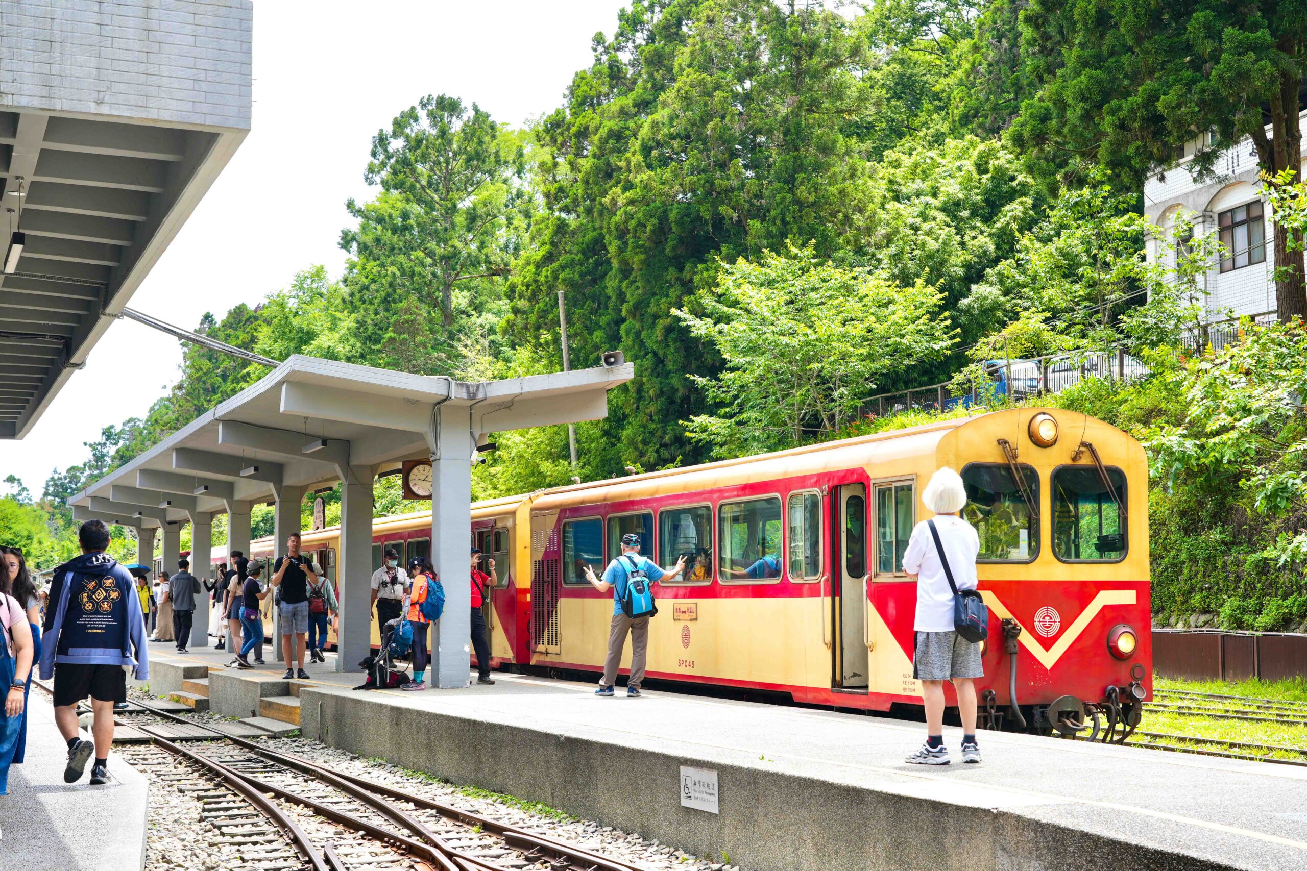 阿里山療癒慢旅　老宅鍋物　茶園與螢光夜景串聯山林風貌