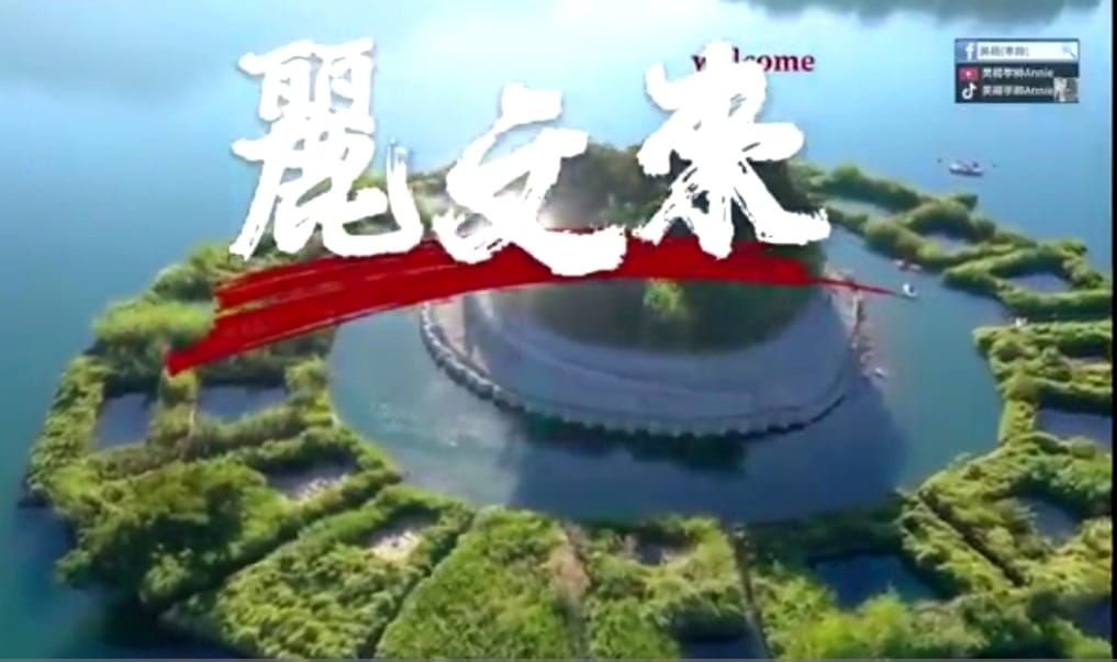 網友寫歌讚鄭麗文　神曲《麗文來》來了﹗