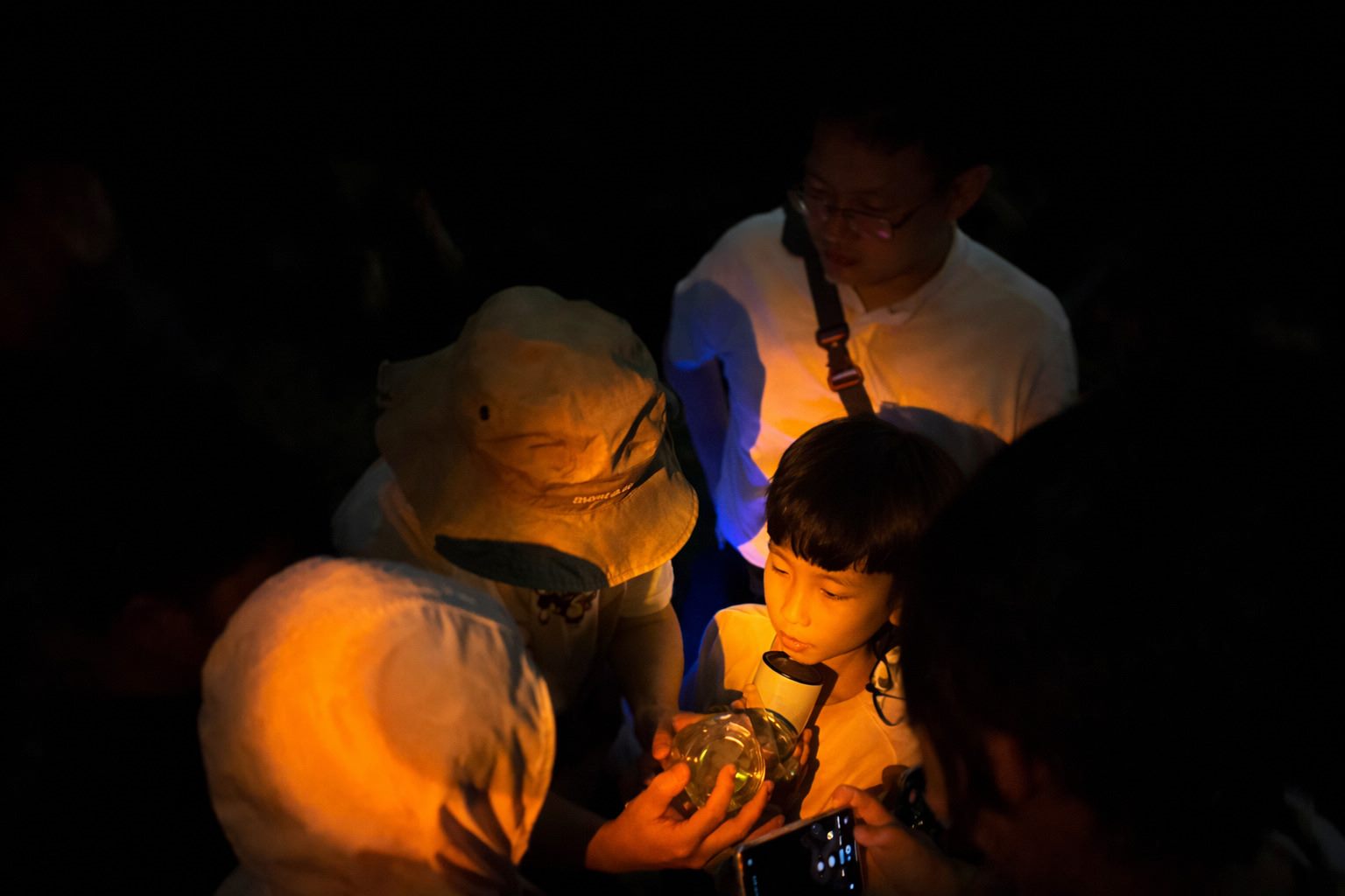 夜探馬明潭賞螢去　親子「不打擾」方式親近自然