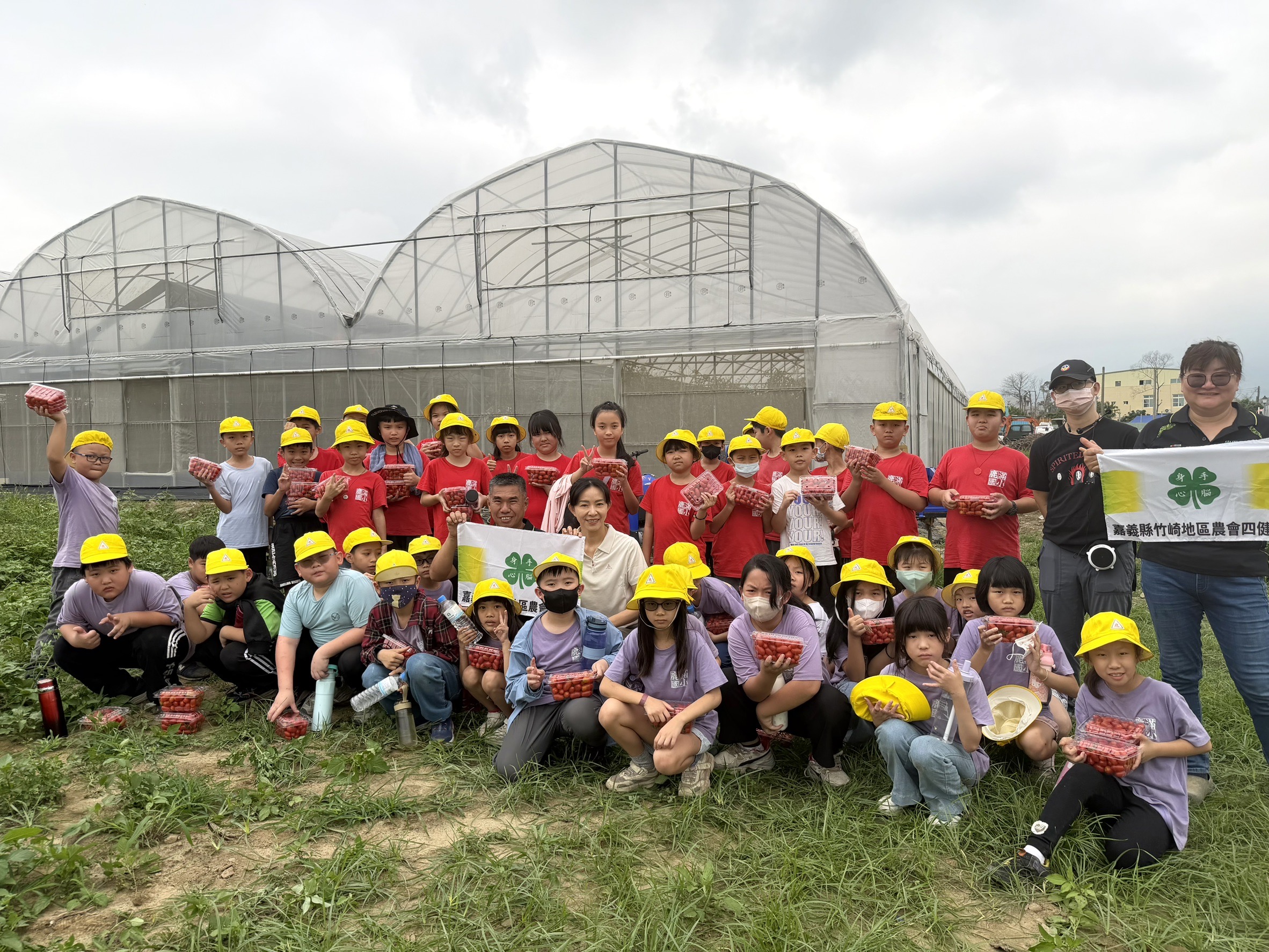 竹崎食農體驗結合愛心義賣 鹿滿學童採番茄助弱勢 竹崎食農體驗結合愛心義賣 鹿滿學童採番茄助弱勢