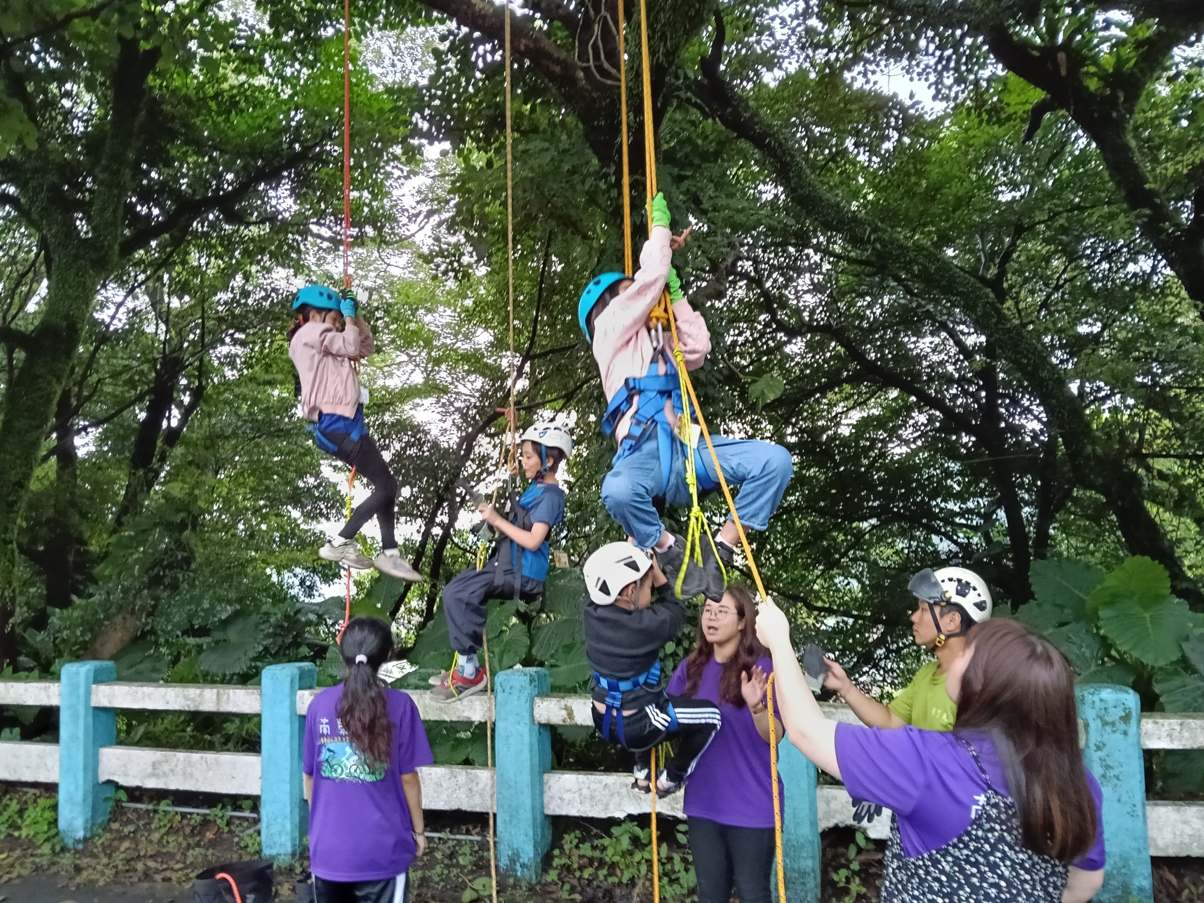 基隆兒少處推森林攀樹體驗　吳雨潔：整座城市都是孩子樂園