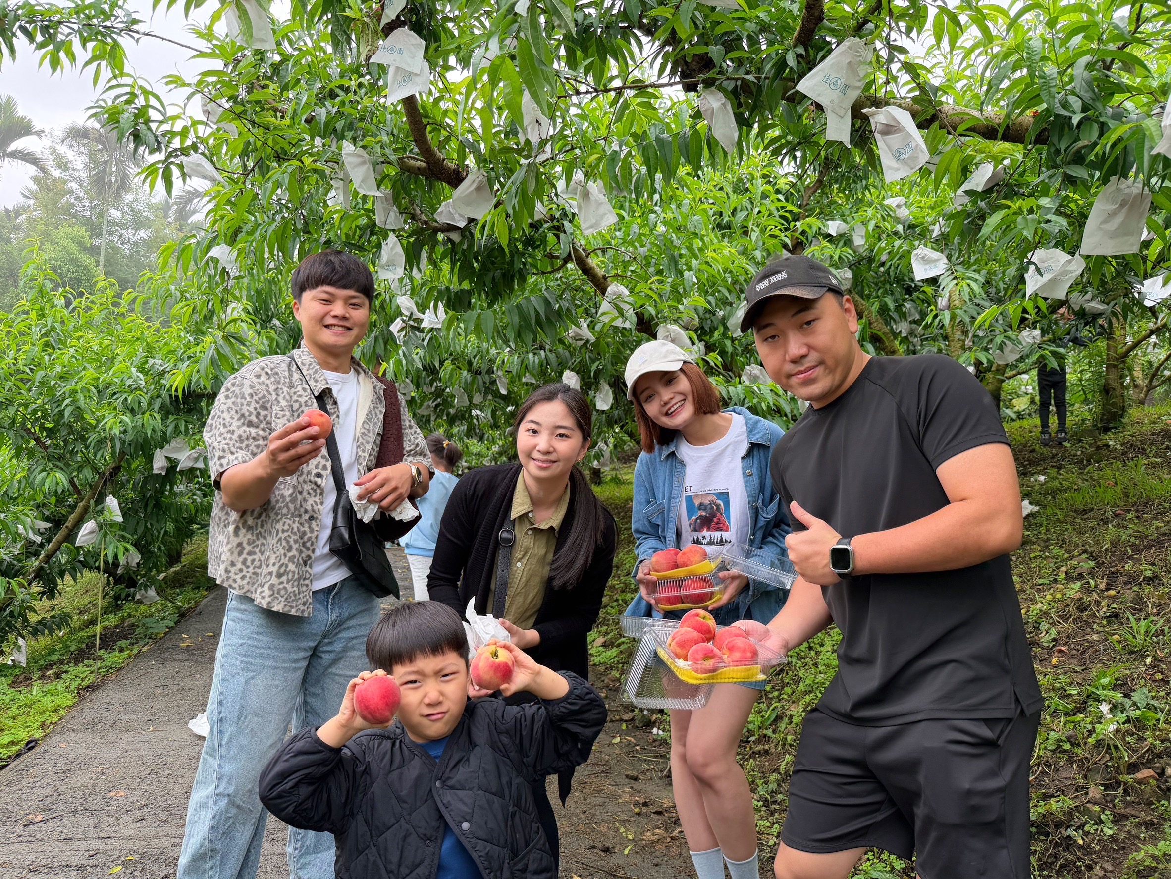 竹崎桃香飄山林　親子採果體驗食農教育