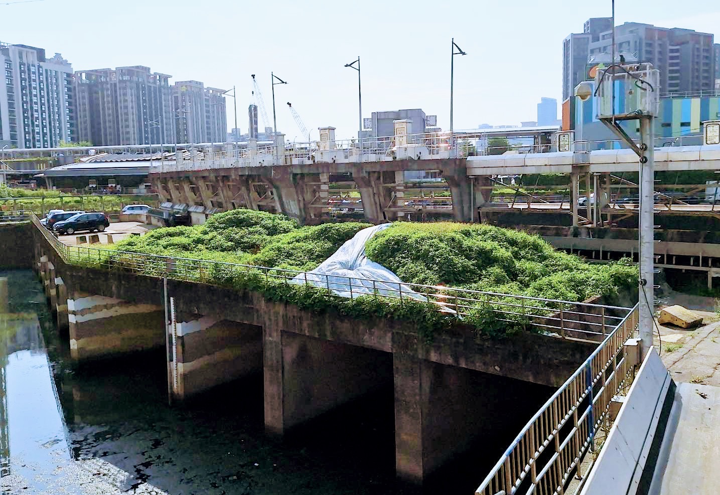 一邊演練元宇宙防汛　一邊放任淤泥成山　新北防洪管理遭質疑