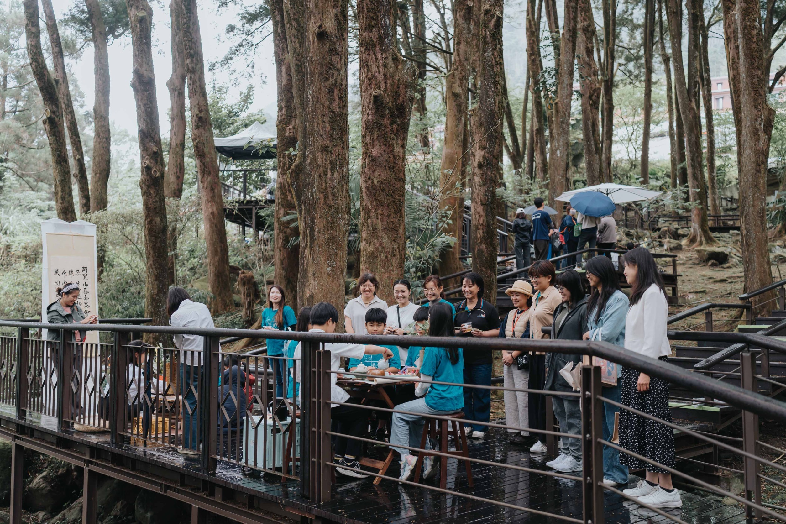 森林裡的茶學院！阿里山115年四季茶旅 小小茶師走進百年肖楠林