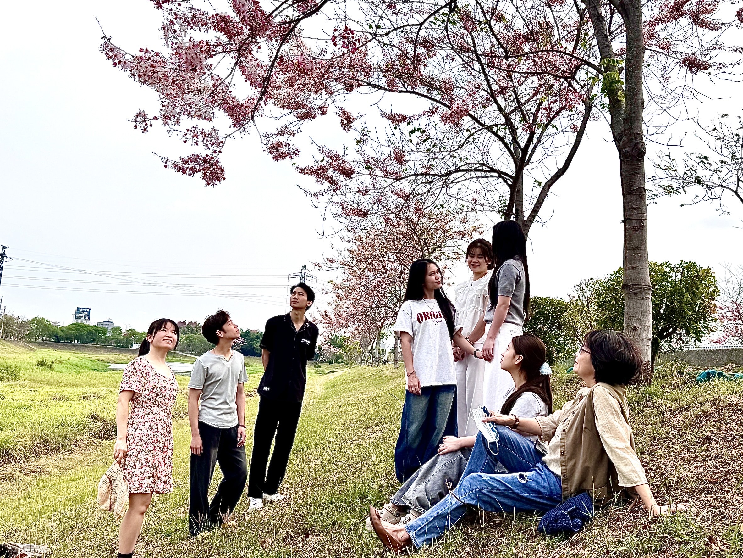 台南仁德滯洪池花旗木綻開 中華醫大師生分享最新花況