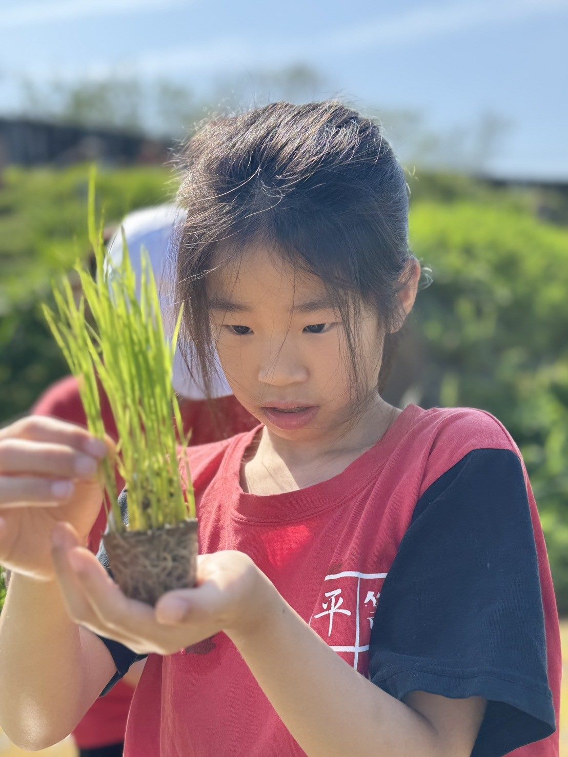 響應422地球日　北市平等國小「禾作社」彎腰學食農