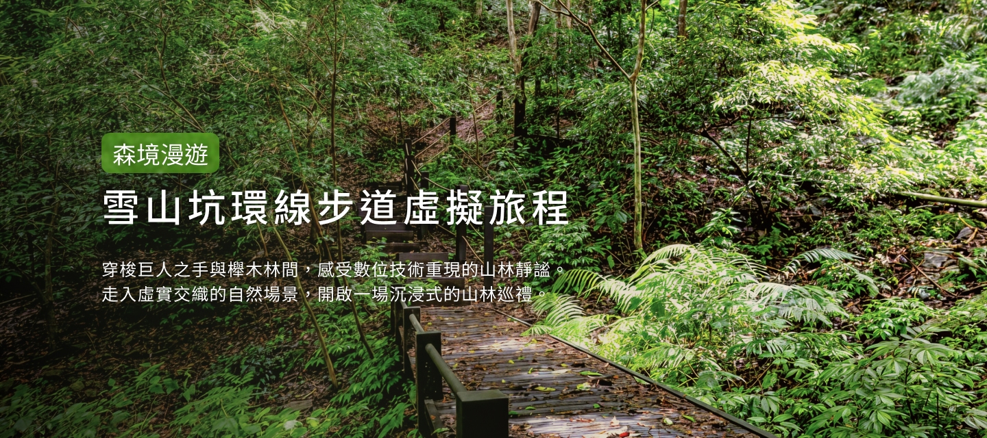台中沉浸式山林體驗！　「雪山坑登山步道」美景線上看
