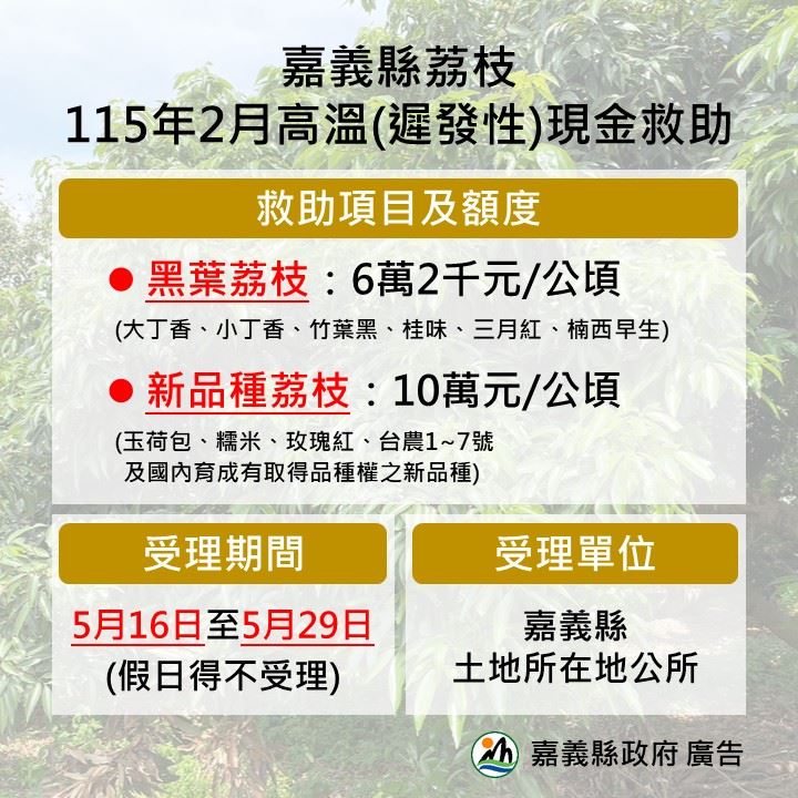 嘉義縣公告辦理荔枝現金救助 5月29日前受理申請 嘉義縣公告辦理荔枝現金救助 5月29日前受理申請