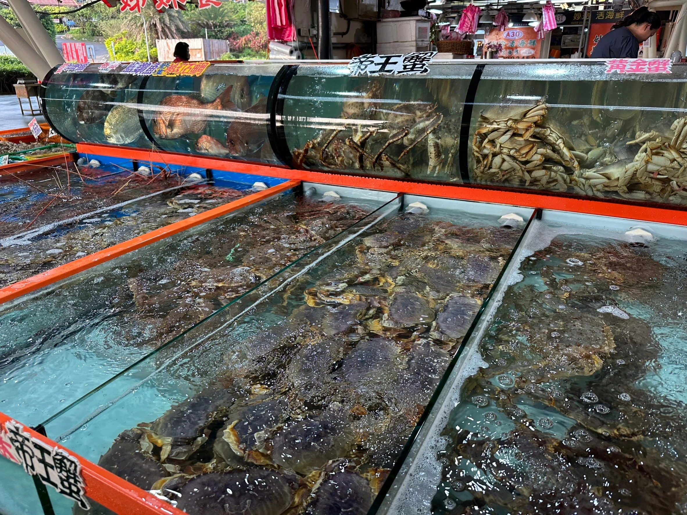 富基魚市5月18日至6月18日整修休市　5月17日前消費滿額送好禮