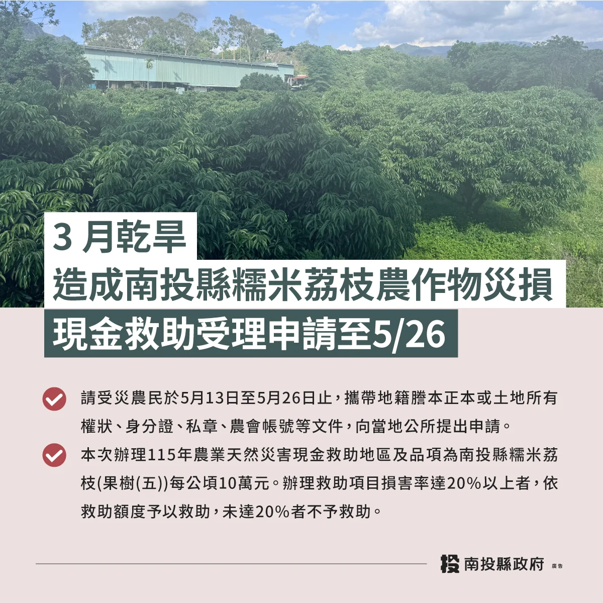 3月乾旱造成南投縣糯米荔枝農作物災損 農業部同意辦理現金救助
