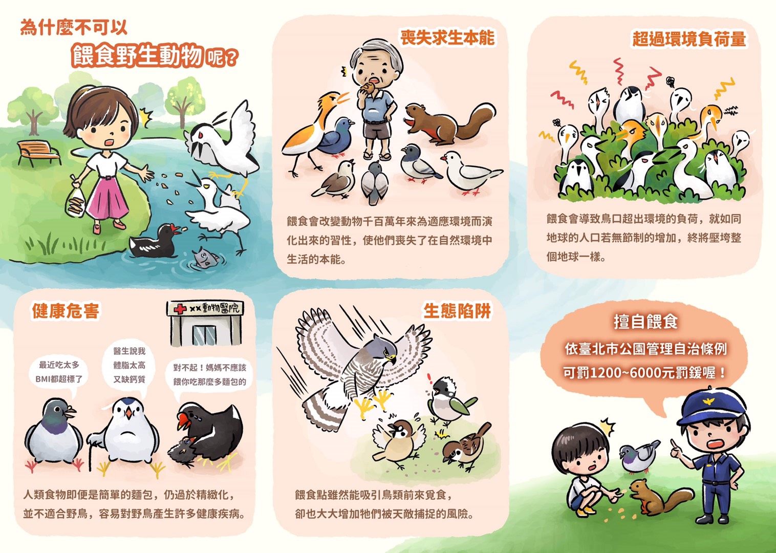 公園禁餵動物　北市5月起加強稽查　違者最高罰6千