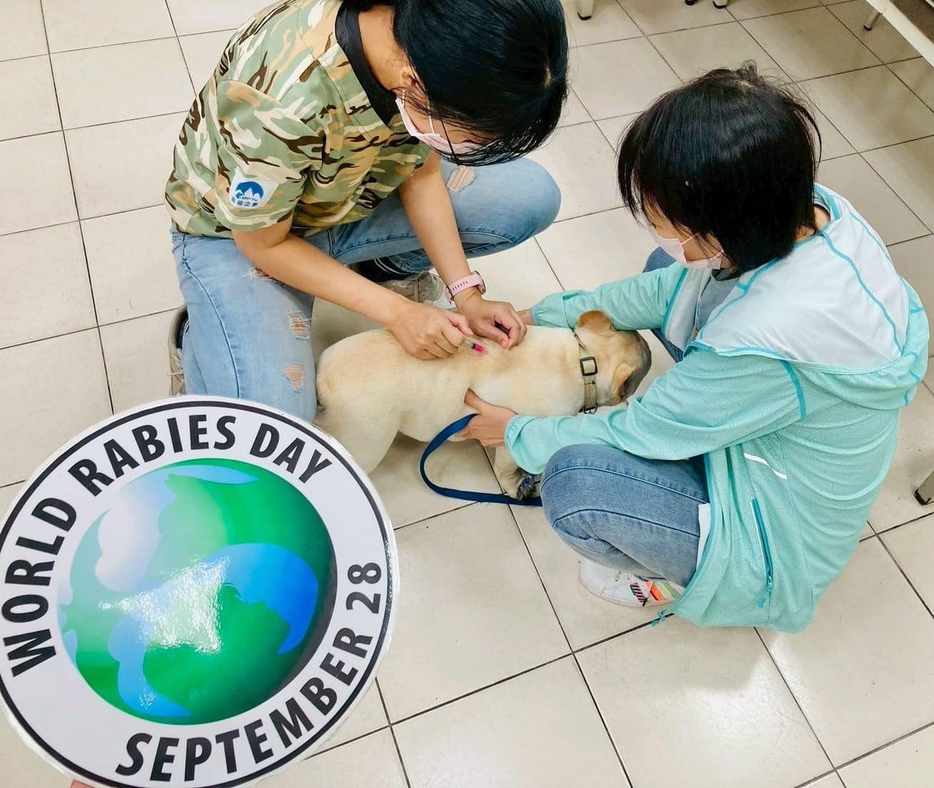 守護毛孩健康　北市山區鄰里免費狂犬病疫苗注射6/18開跑