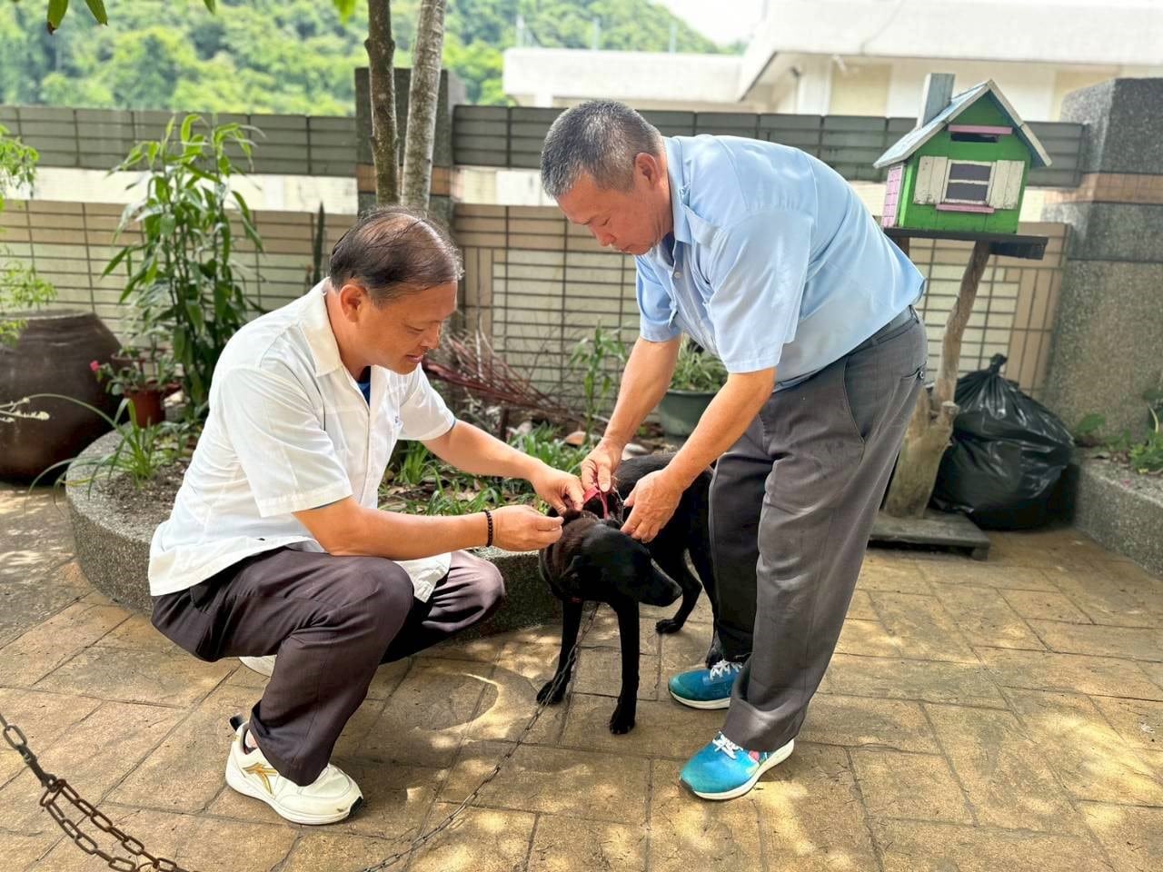 夏季野生動物活動頻繁 中市動保處籲請民眾提高警覺共同防範狂犬病 夏季野生動物活動頻繁 中市動保處籲請民眾提高警覺共同防範狂犬病