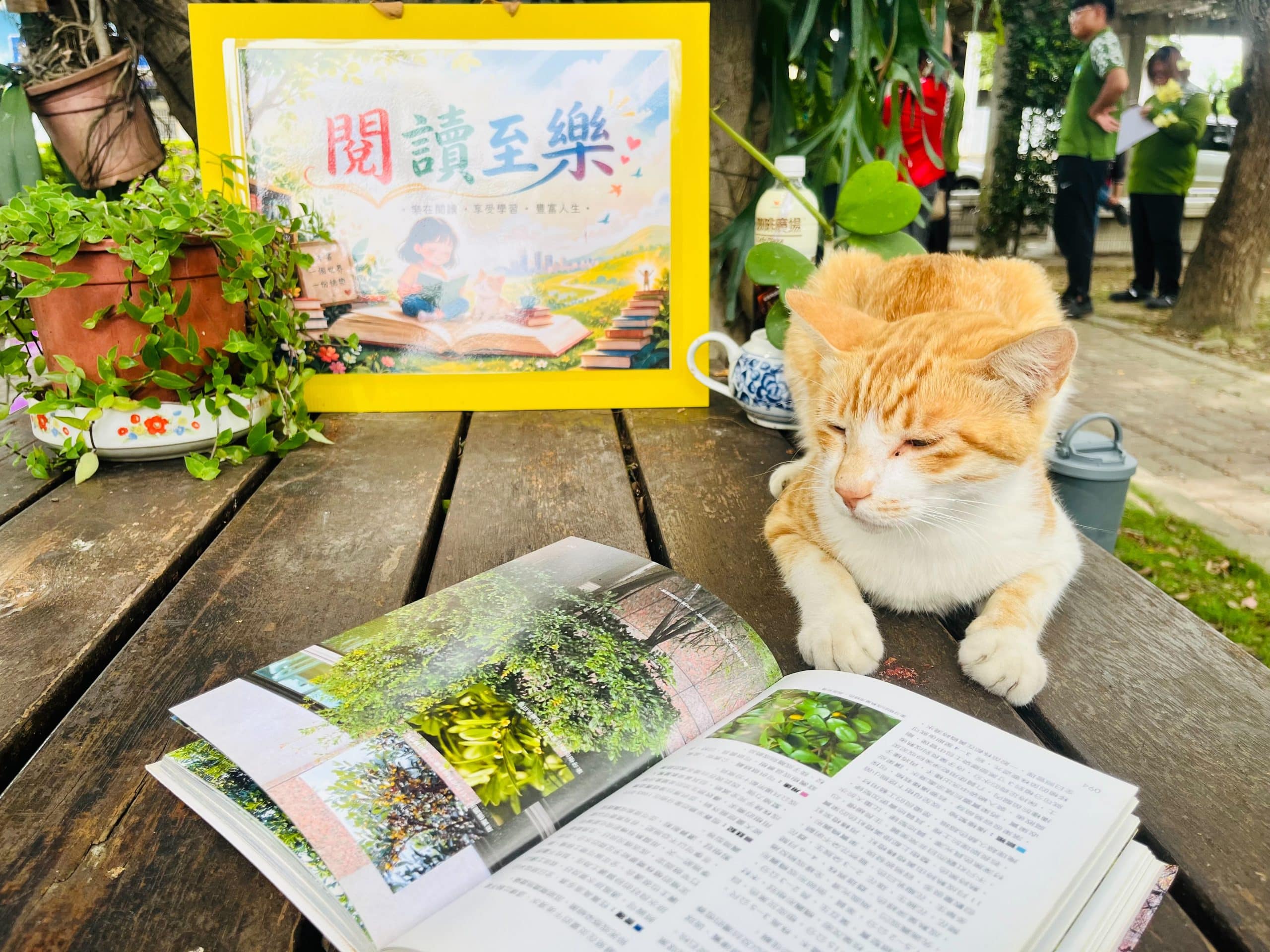 綠意與書香交織！　中市外埔區清潔隊打造「榕樹下閱讀角」 療癒同仁身心