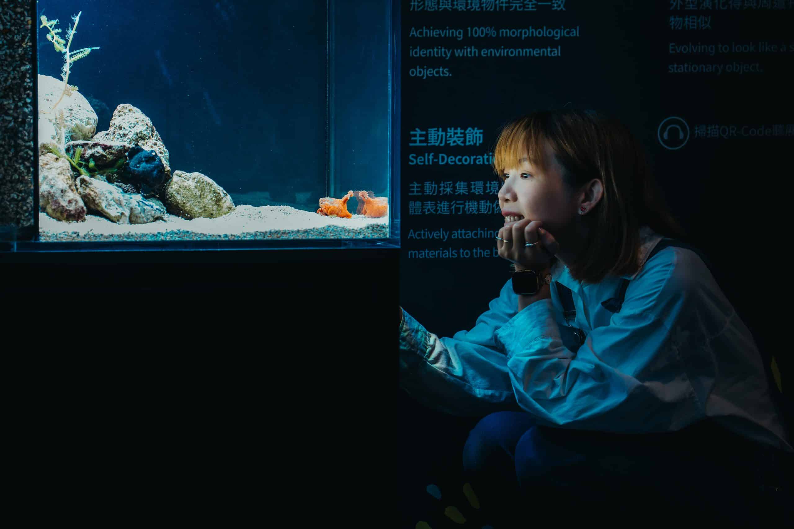 台中海洋館暑期特展《海洋幻術師》登場　揭開海洋生物偽裝生存術