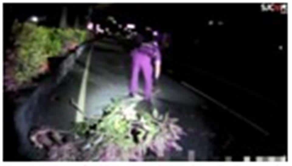 車道散落大型樹枝影響行車　警迅速排除路障防事故 thumbnail