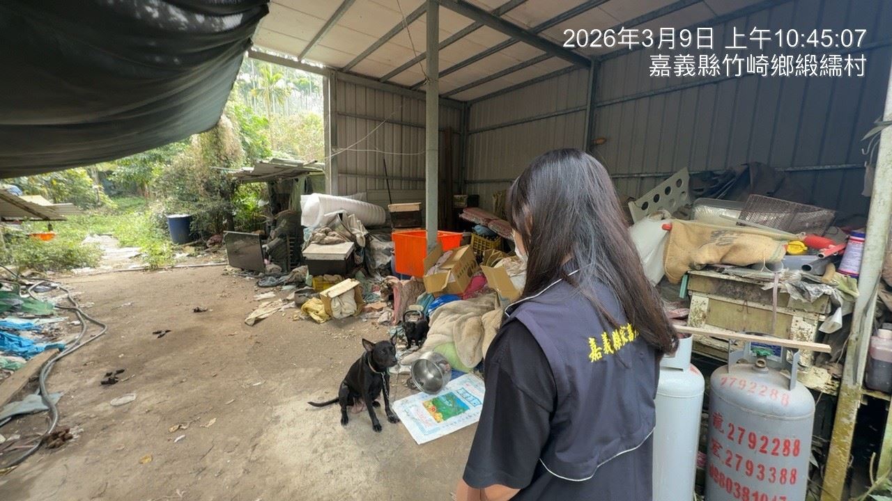 放養不是自由是失責！ 飼主放養犬隻肇事　遭重罰5萬3千元並移送法辦