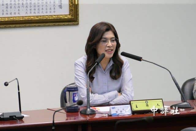 鄭麗文談訪美:和平不是空想 都有路徑圖 一步一步踏出去 鄭麗文談訪美:和平不是空想 都有路徑圖 一步一步踏出去