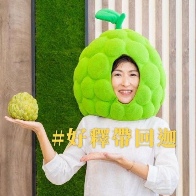民進黨政府追打饒慶鈴引選民反感