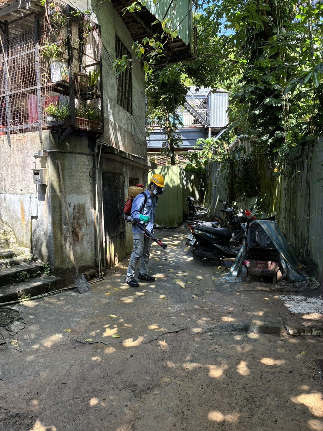 嚴防災後傳染病！北市環保局趁放晴　全面投藥消毒積淹水熱點