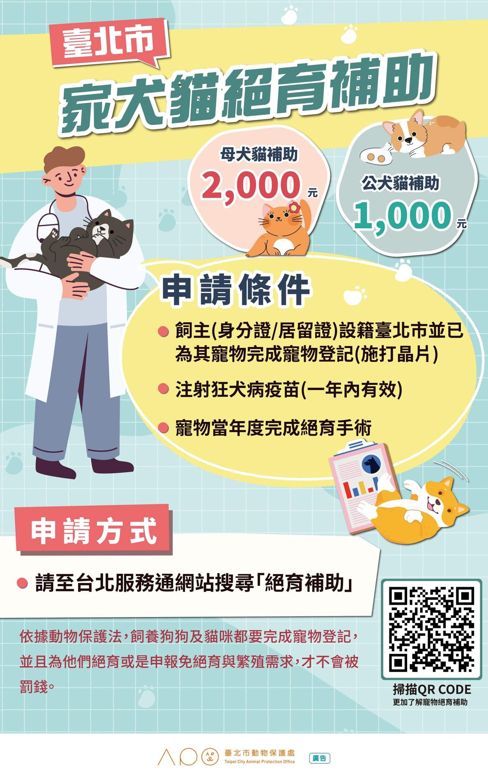手刀要快！北市家犬貓絕育補助最高2千元　