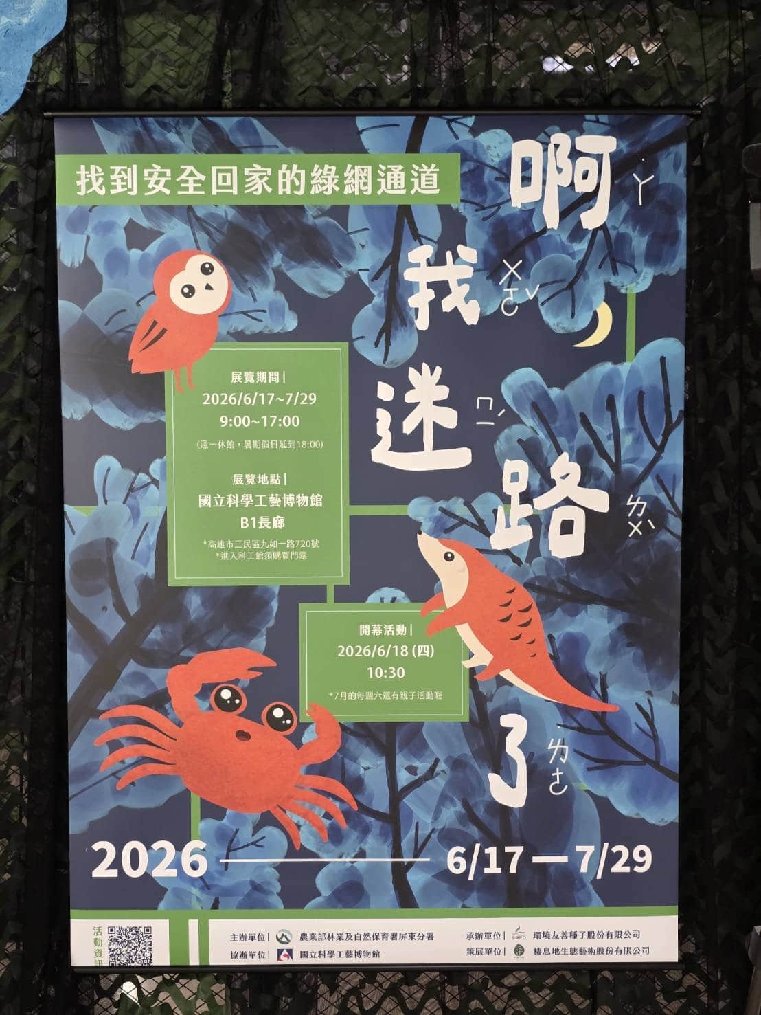 暑假生態強檔　科工館「啊！我迷路了！」　主題特展 6/17起打造「動物逃脫迷宮」　邀親子翻轉生態綠網新視野