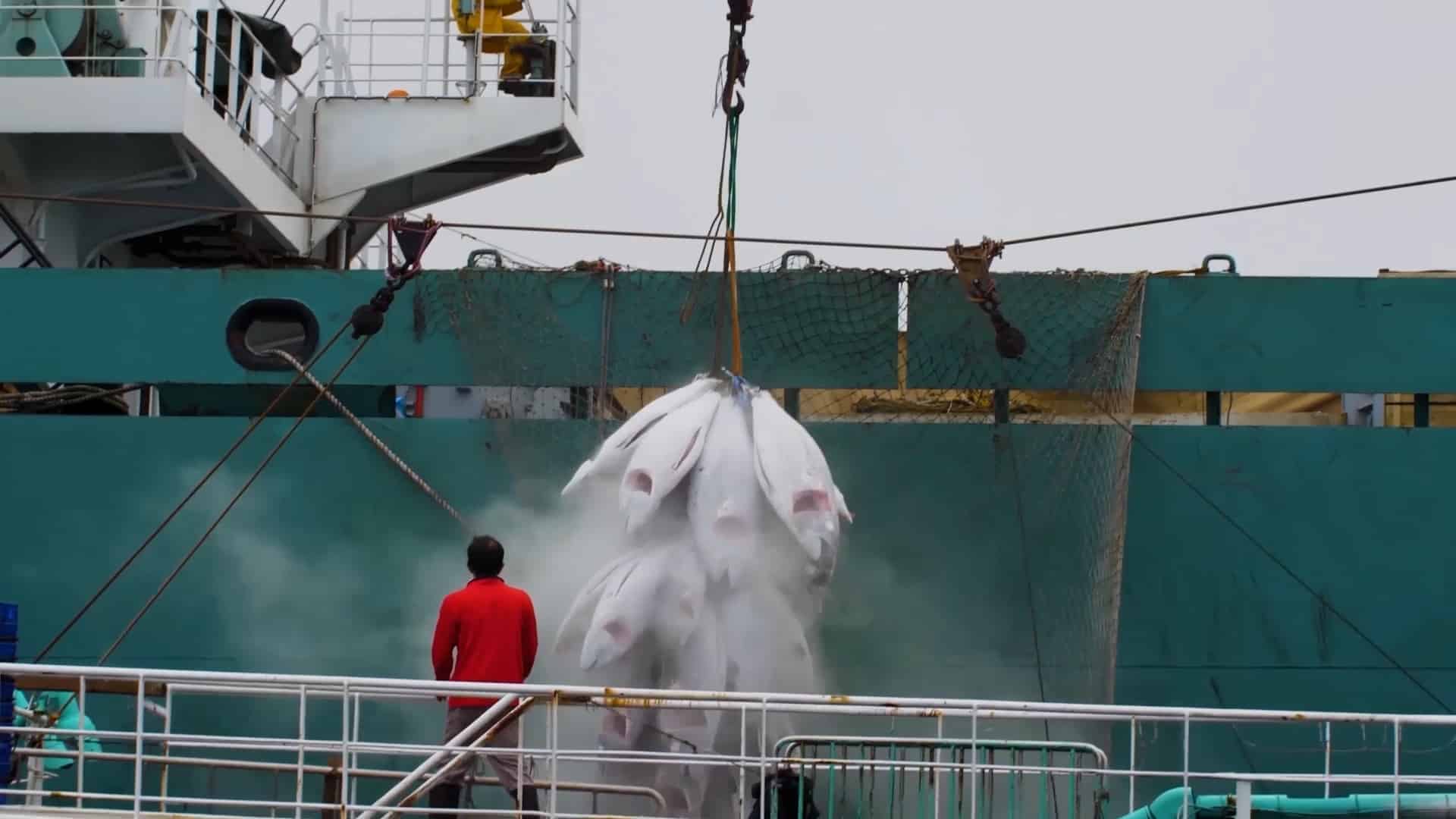 BBC 紀錄片 遠洋漁業黑箱 探討海鮮餐桌背後的人命代價