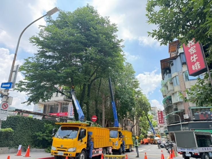 慎防巴威颱風來襲　北市公園處加強樹木、路燈防災