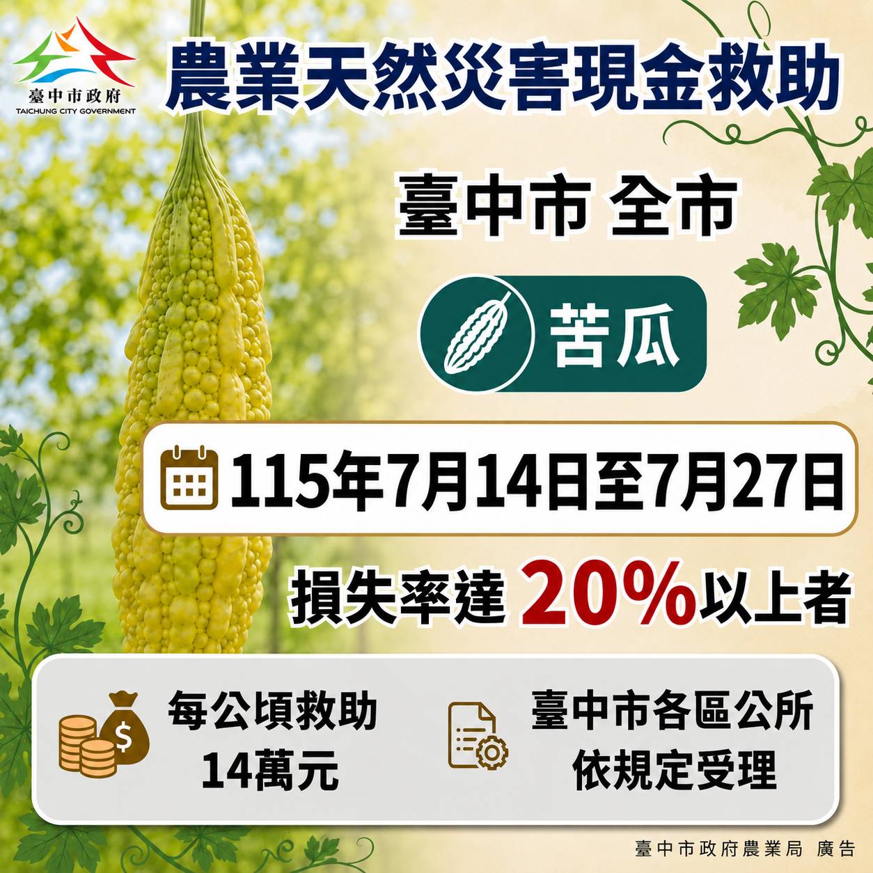 巴威颱風致苦瓜災損　中市農業局提醒農民7/27前申請現金救助