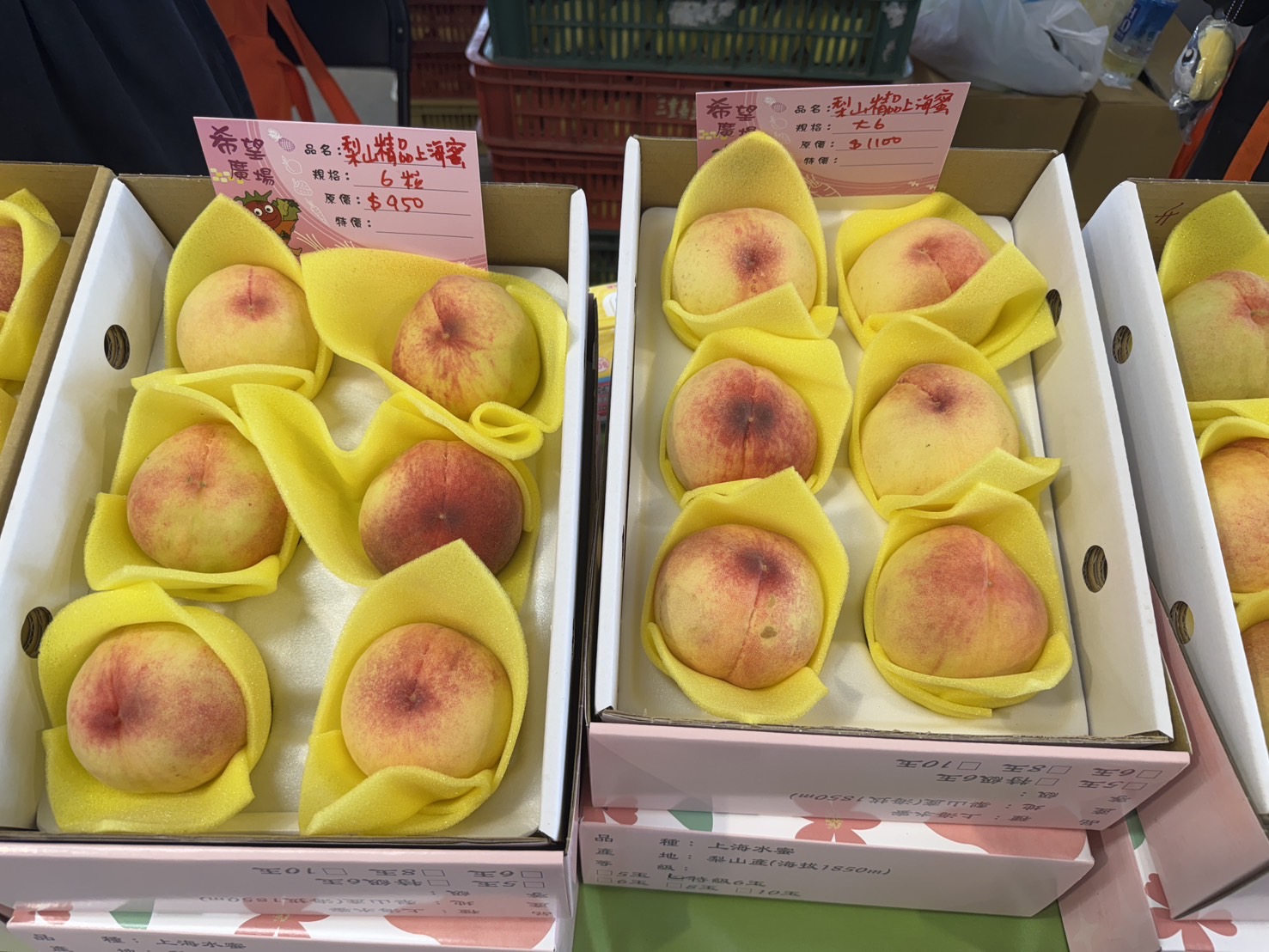 梨山甜蜜直送！　台中水蜜桃、精品茶、限定蜂蜜快閃台北希望廣場