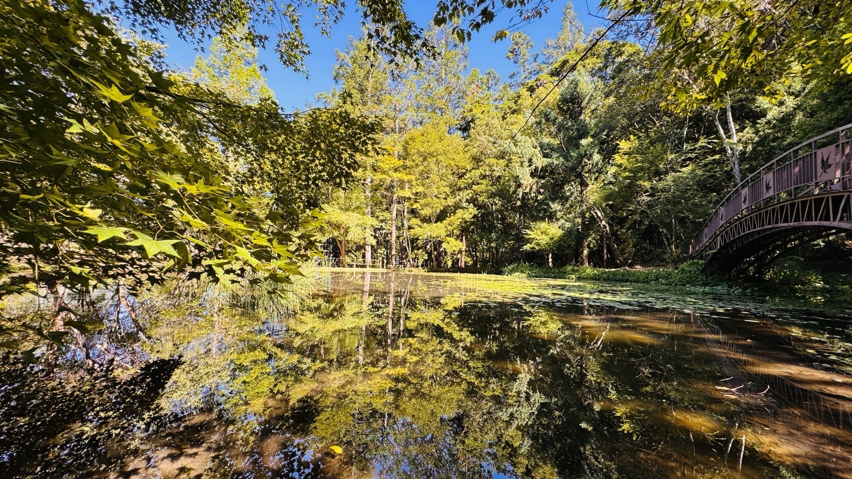 「原」來你在奧萬大 7月31日至8月2日 全民10元入園