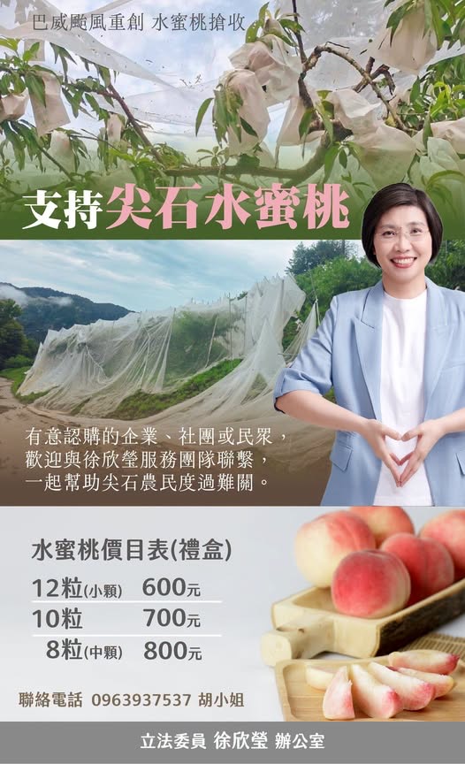 搶救尖石水蜜桃！巴威颱風重創產區近五成　徐欣瑩、楊文科、曾國大發起緊急認購