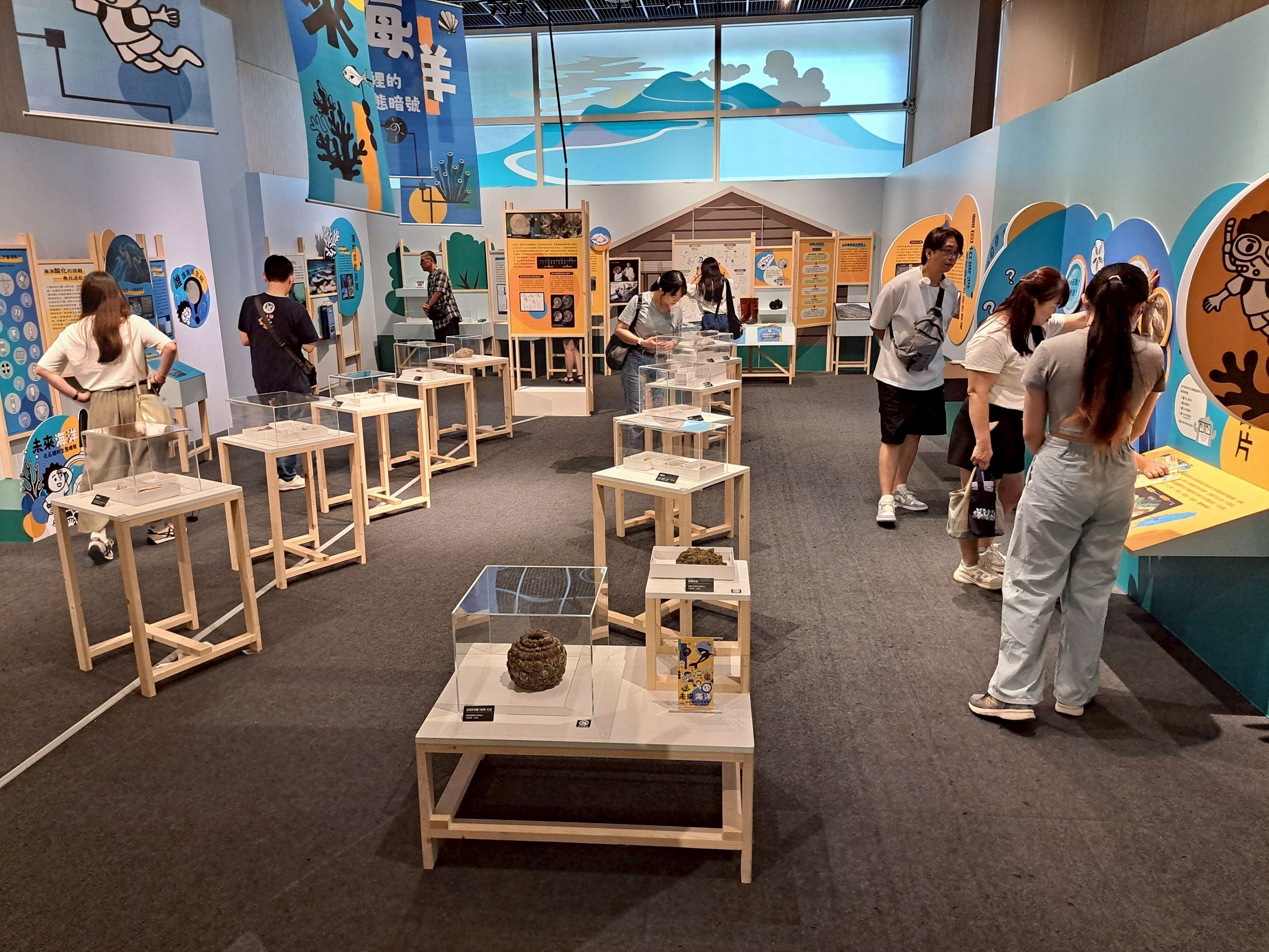 嘉義百萬年前竟是一片海!博物館化石特展揭遠古祕密 嘉義百萬年前竟是一片海!博物館化石特展揭遠古祕密