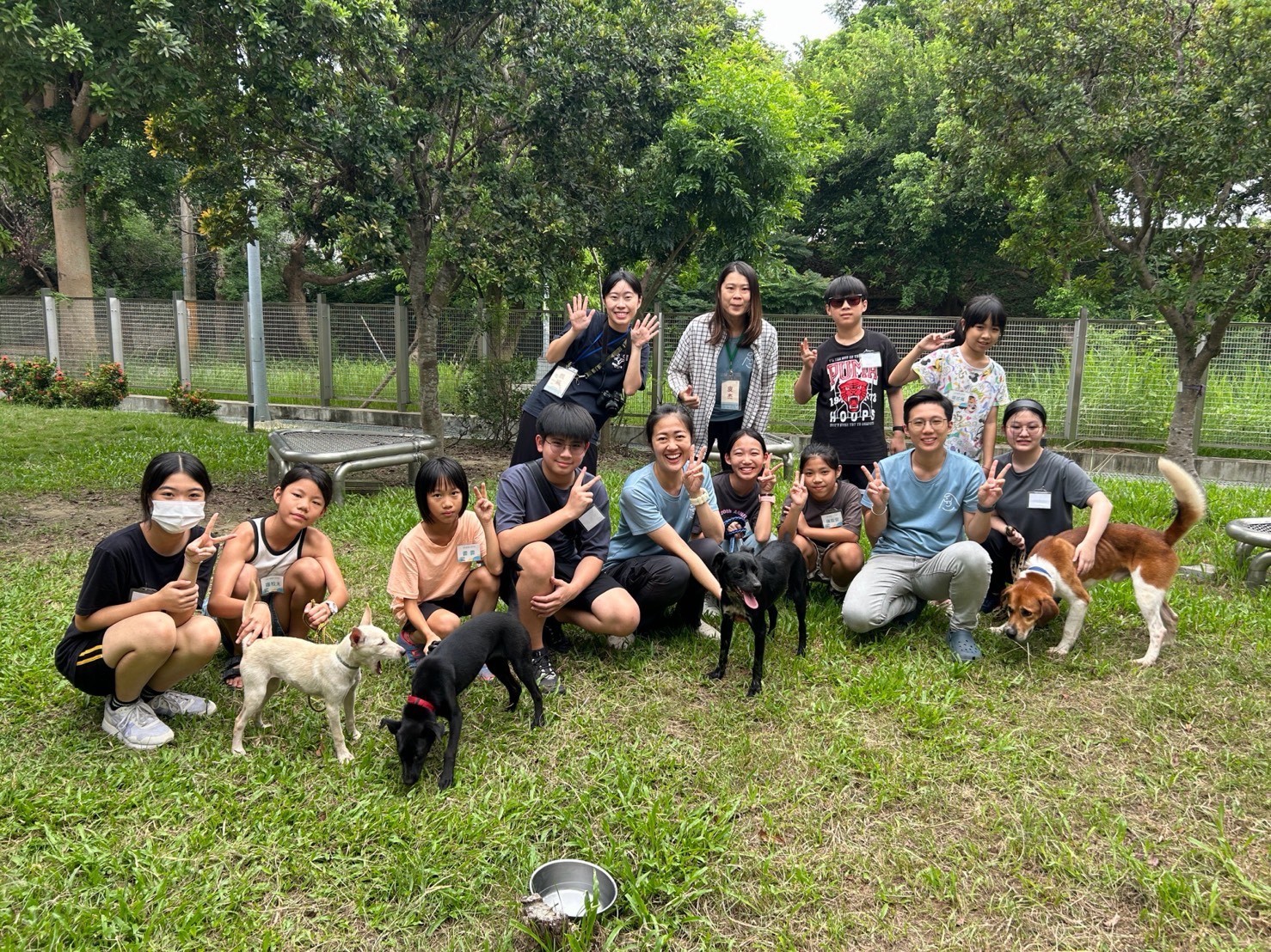 「謝謝你，療癒了我！」　2026療癒犬夏令營成果發表　孩子與收容犬雙向陪伴共成長