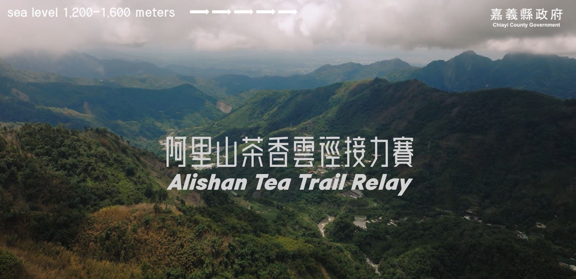 循著茶香跑進雲霧山林　2026阿里山茶香雲徑接力賽開放報名