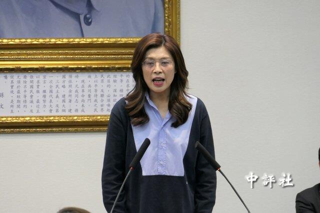 鄭麗文轟賴淹水還在搞政治　製造南北矛盾