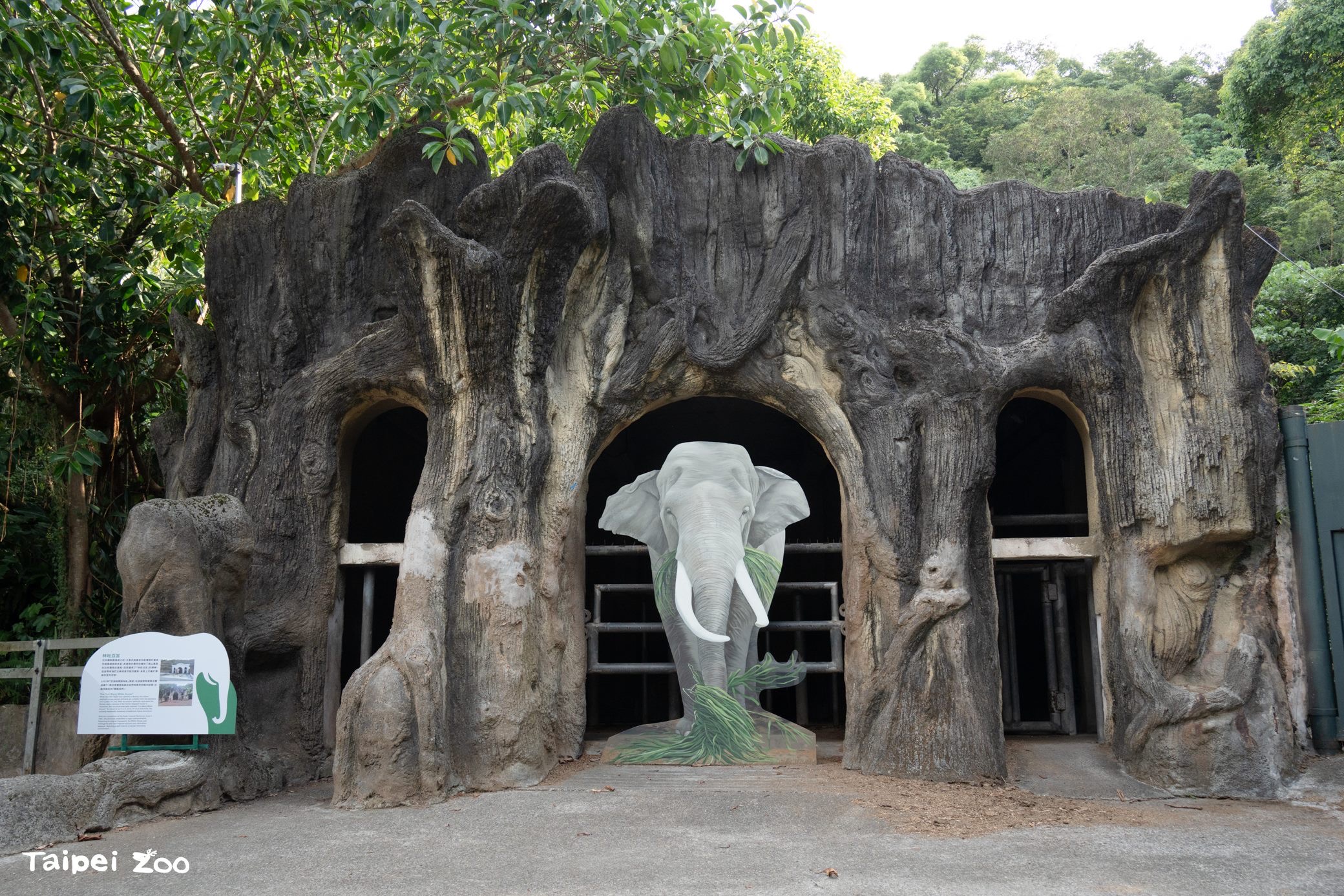 【週末限定】走進亞洲象的家!北市動物園遷園40周年象舍首度開放 【週末限定】走進亞洲象的家!北市動物園遷園40周年象舍首度開放