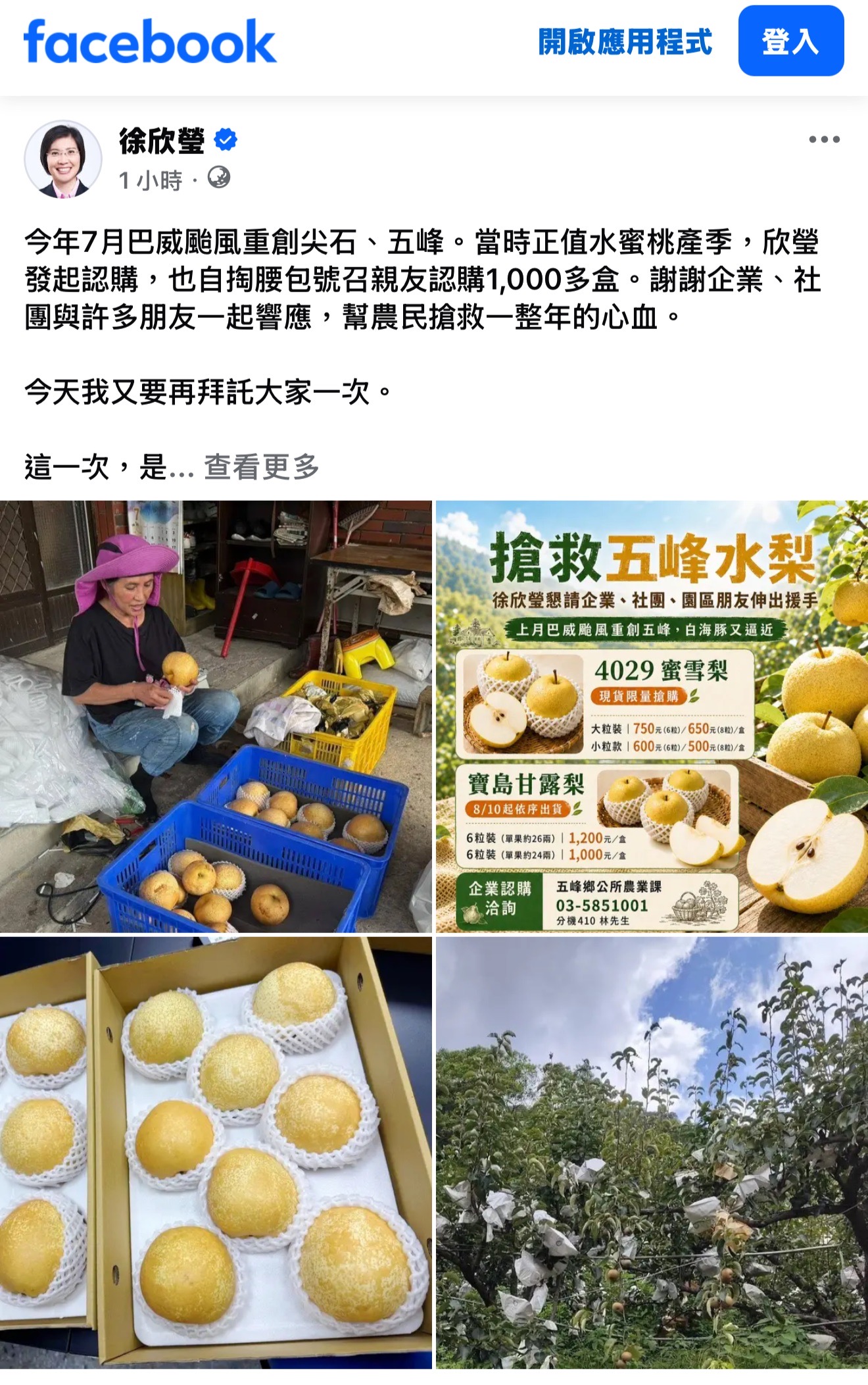 颱風來襲　五峰鄉果農搶收憂生計　徐欣瑩臉書發起認購水梨行動