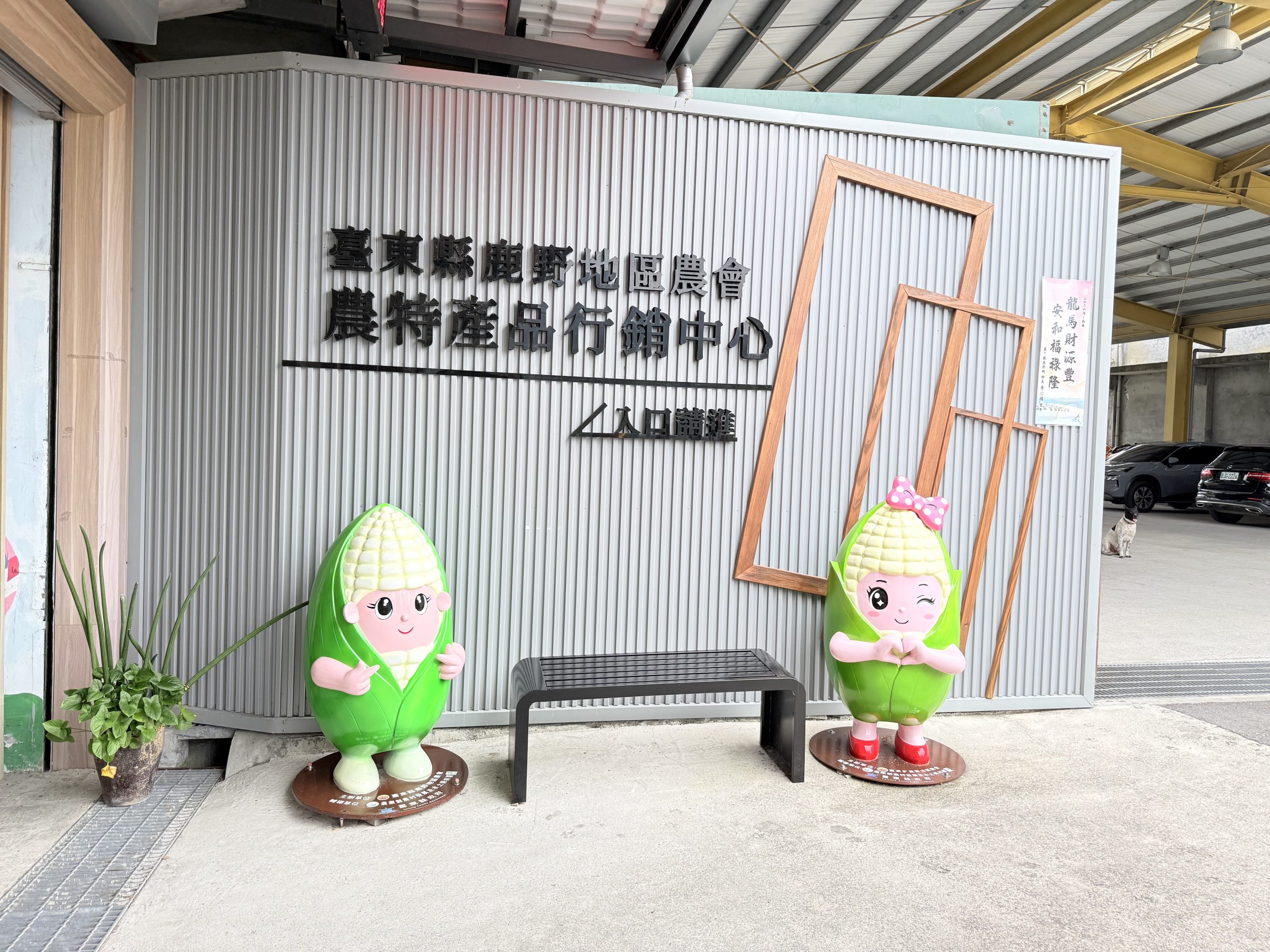 台東縣鹿野地區農會農特產品行銷中心　 Q版公仔   玉米、鳳梨妹雙姝展笑顏迎嘉賓