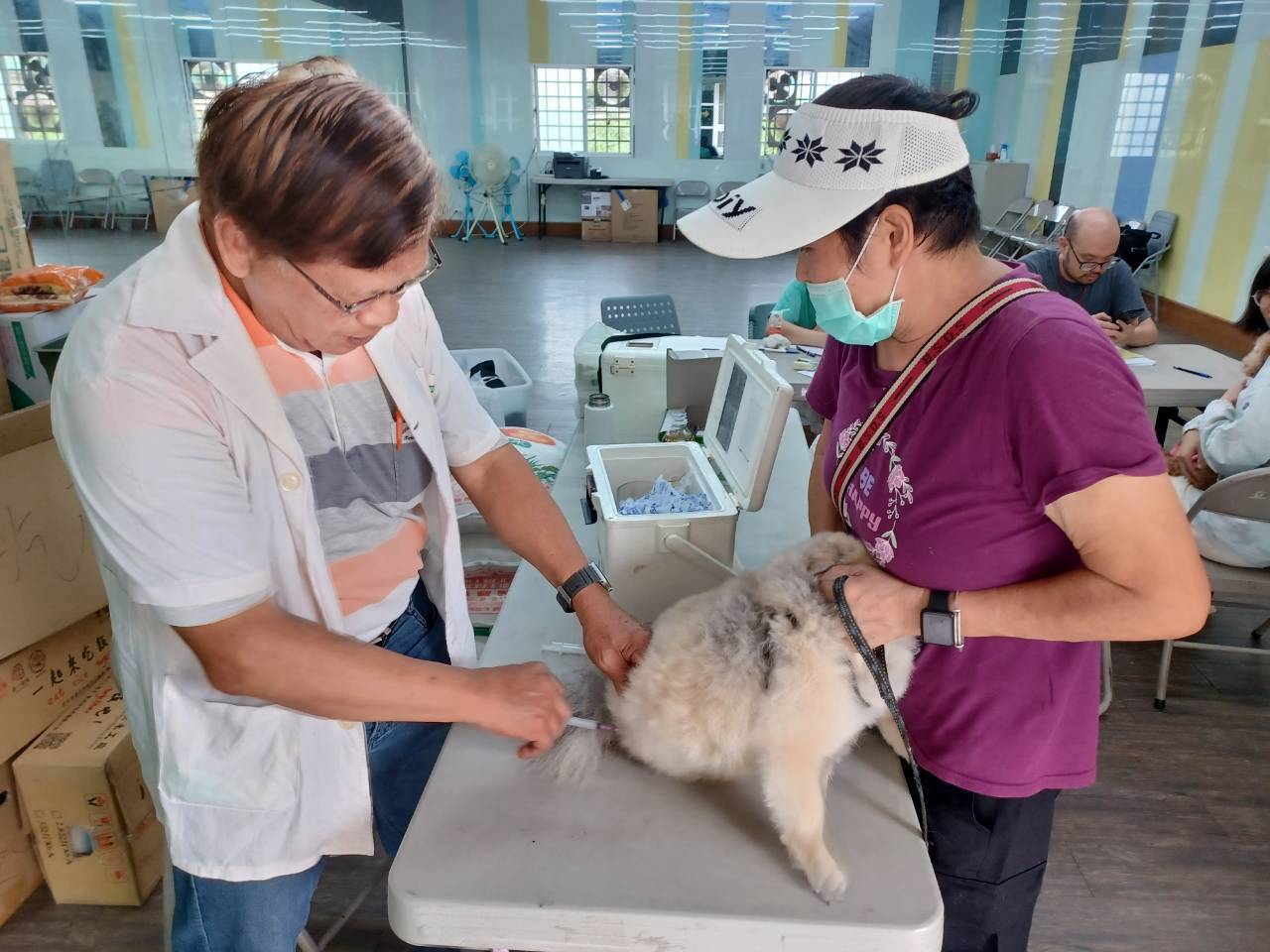 年底最後一波！　中市狂犬病疫苗巡迴注射活動11月開跑 thumbnail