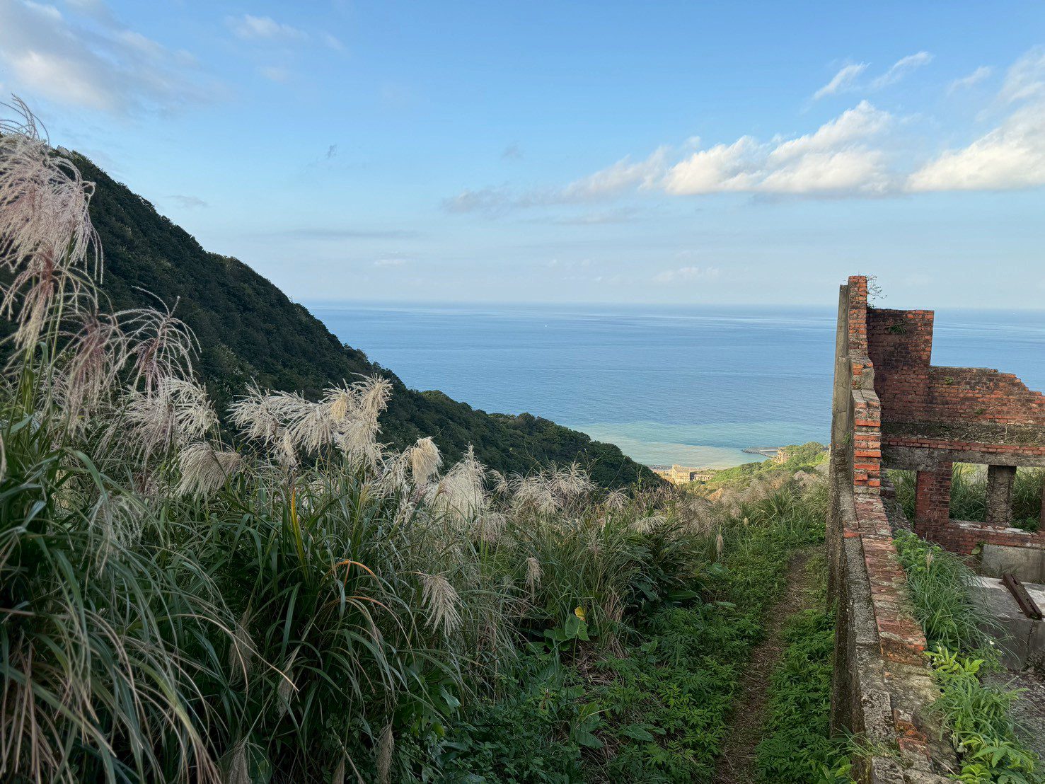 秋冬限定 芒花隨風綻放 新北推賞芒抽好禮 秋冬限定 芒花隨風綻放 新北推賞芒抽好禮