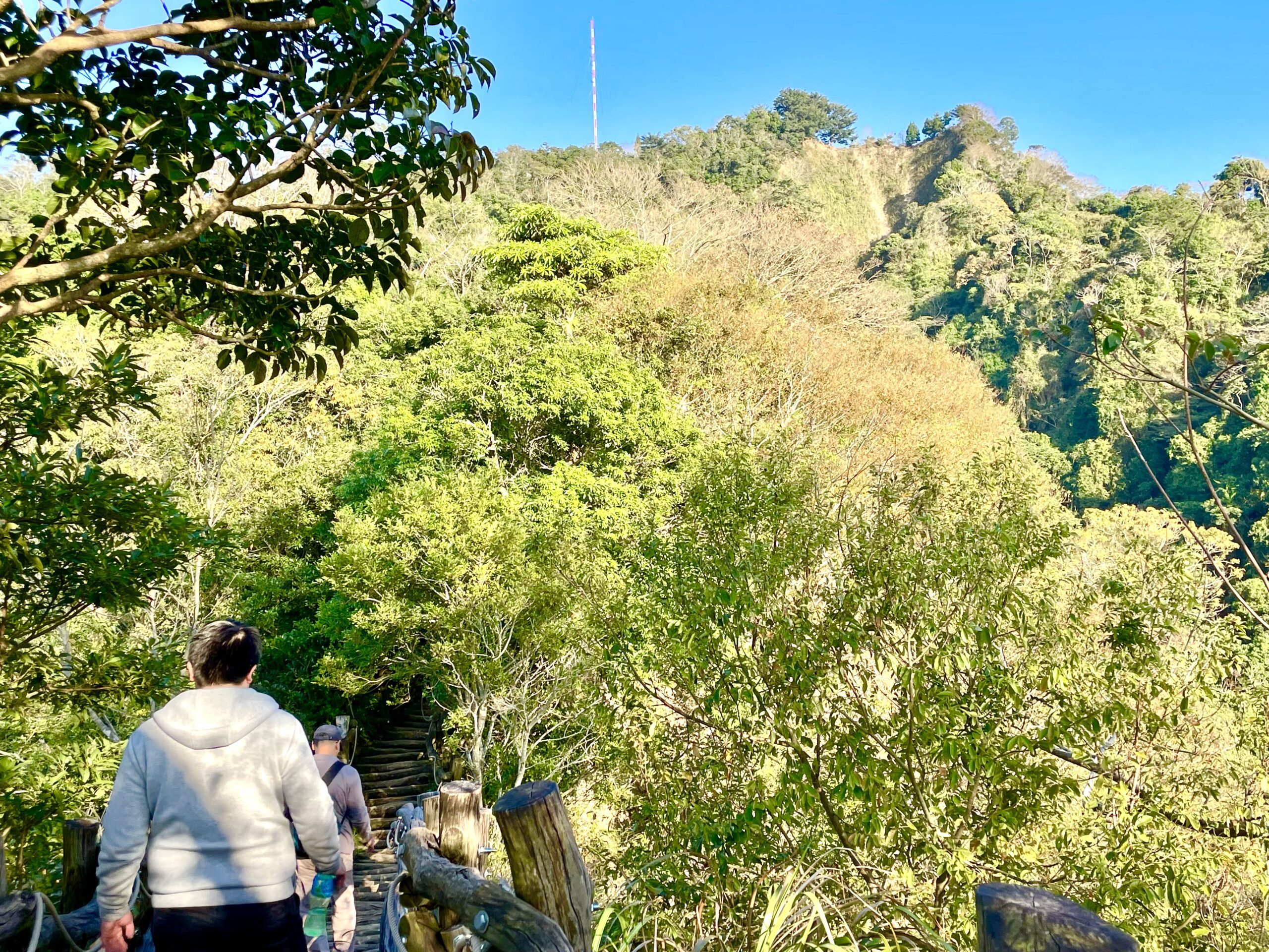 台中大坑登山步道春遊減脂好去處 　2號彩色森林步道美景開箱