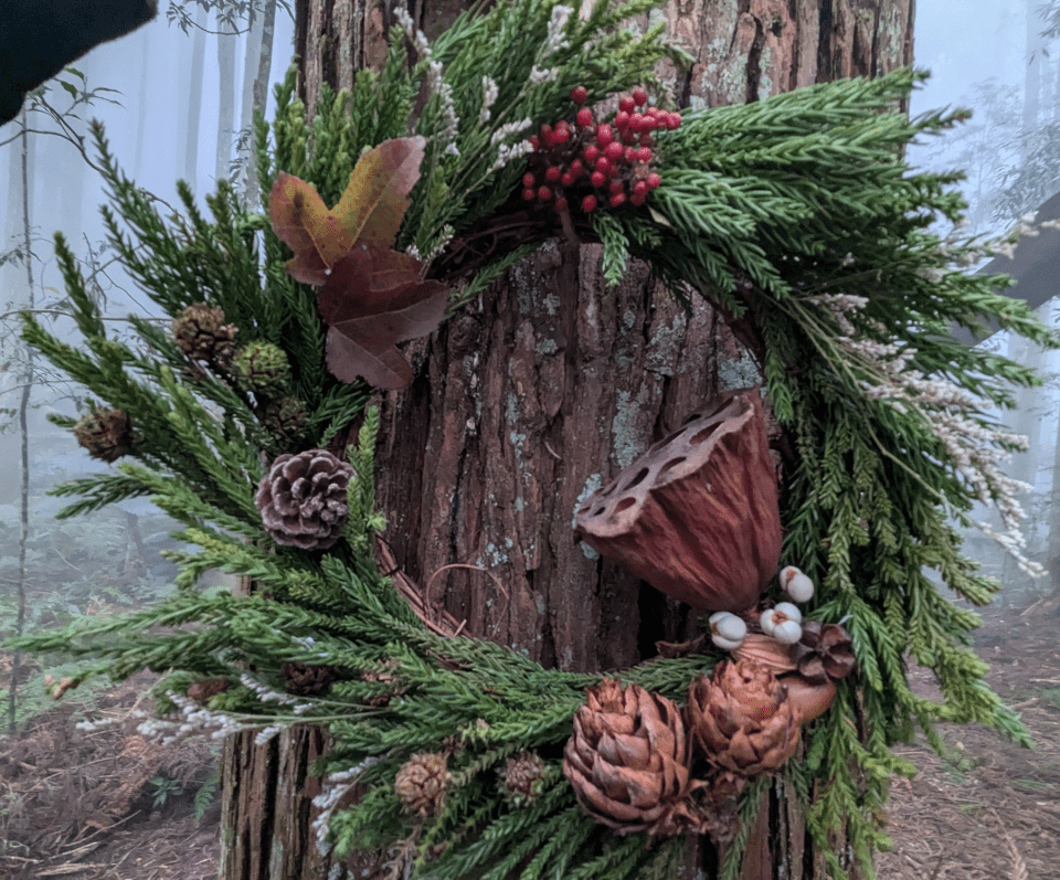 「森命之圈—大人の林場散策」帶你親手編織永續花圈