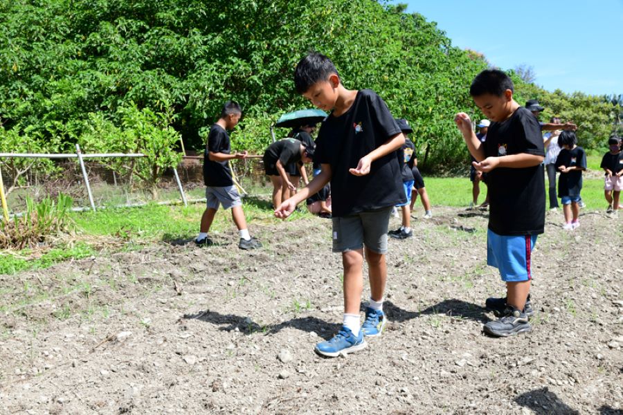 種出食農「藜」念  傳承原鄉傳統農耕在地飲食文化